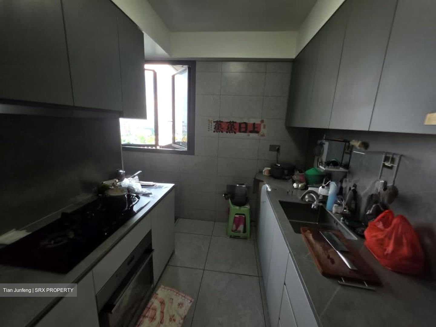 Parc Clematis (D5), Apartment #577442831
